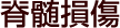 都賀交通事故施術、脊髄損傷